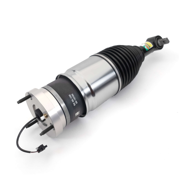 AS-4411 | Arnott | Luftfjädring