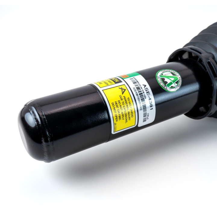 ASE-4381 | Arnott | Luftfjädring