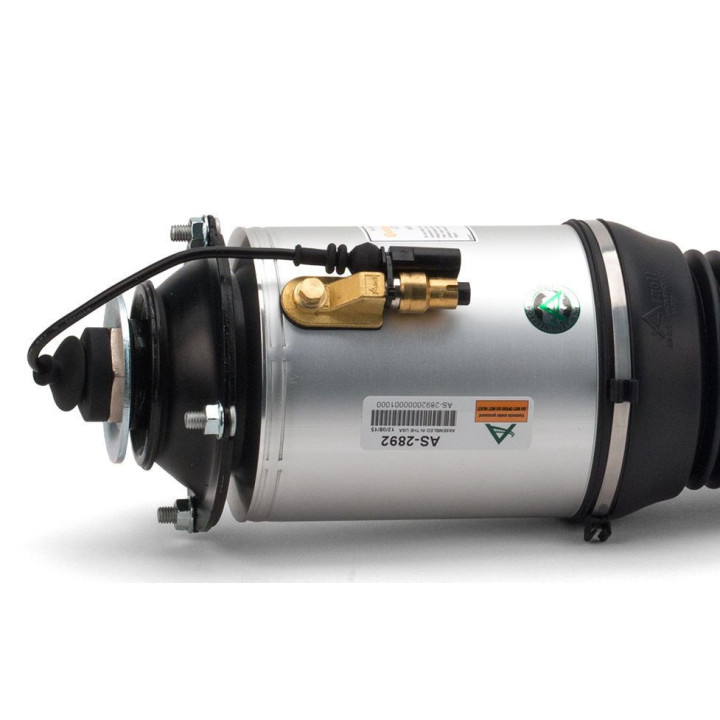 AS-2892 | Arnott | Luftfjädring